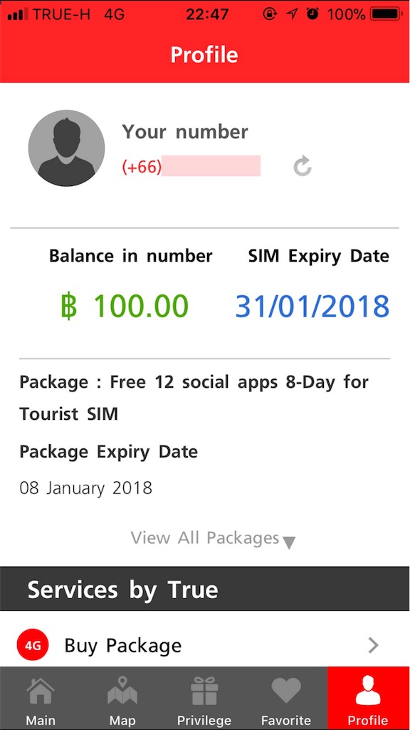 プリペイドSIM プリペイドSIM