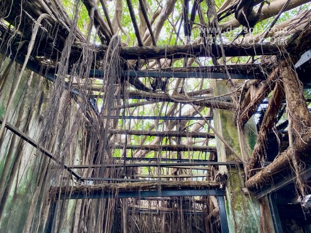 f:id:dasola:20200301162947j:plain f:id:dasola:20200301162947j:plain