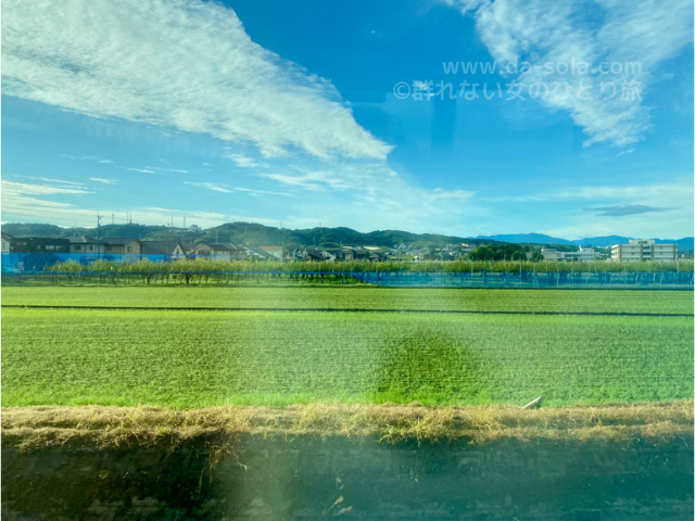 f:id:dasola:20201004193209p:plain