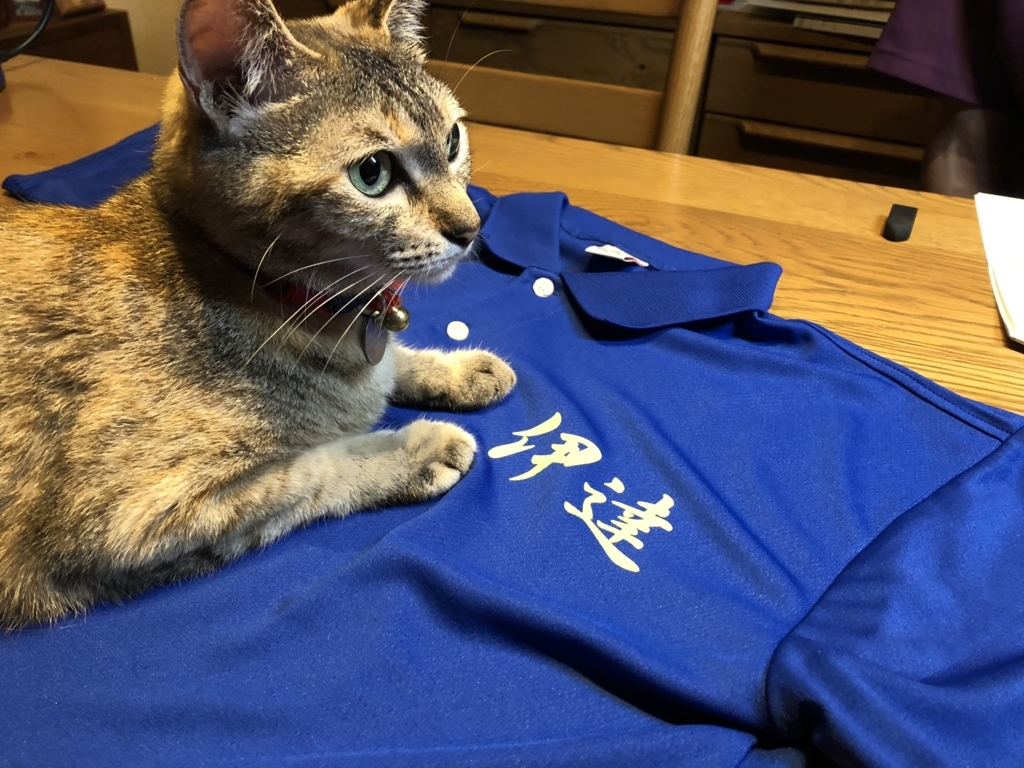 f:id:dateblo:20180801215301j:plain