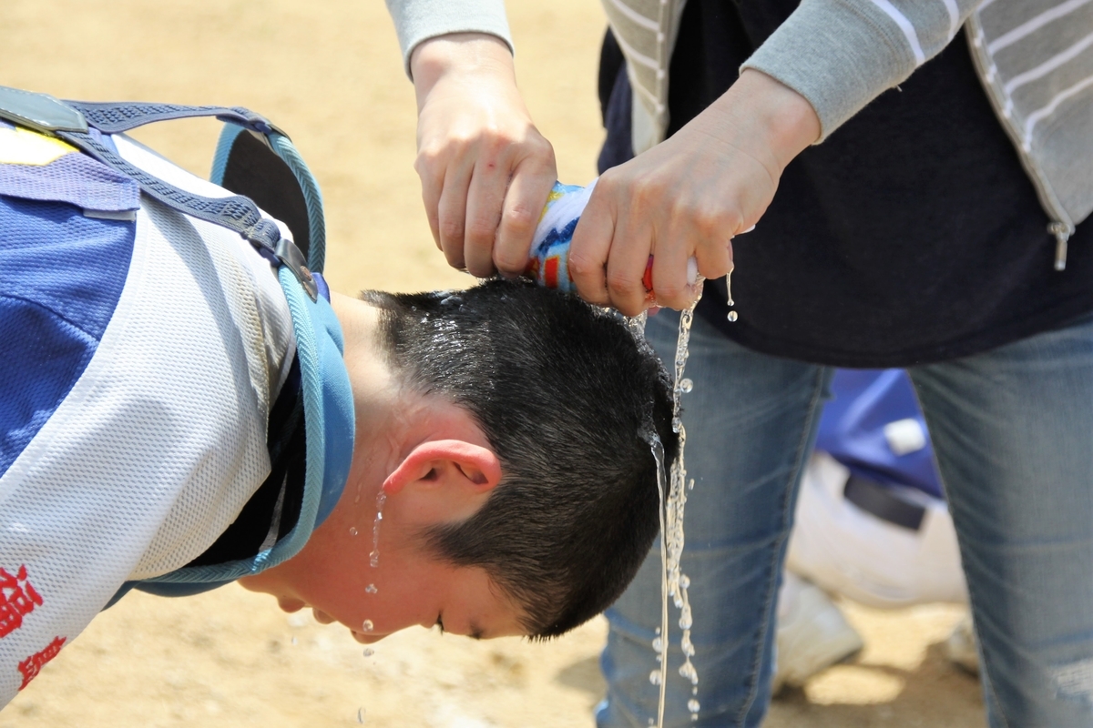 f:id:dateblo:20200526162550j:plain f:id:dateblo:20200526162550j:plain