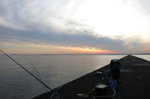 木更津沖堤防釣りで初シーバス 二流を目指す伊達雅輝の三流レーサー 三流アングラー日記