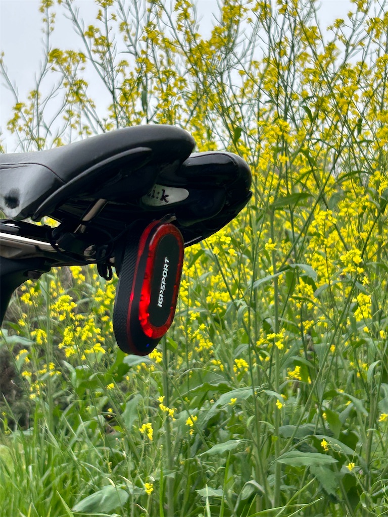 f:id:datedamon:20260405163915j:image