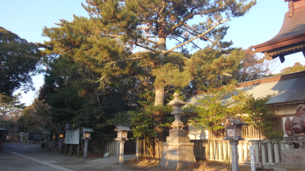 f:id:datenshi8313:20190227015230j:plain
