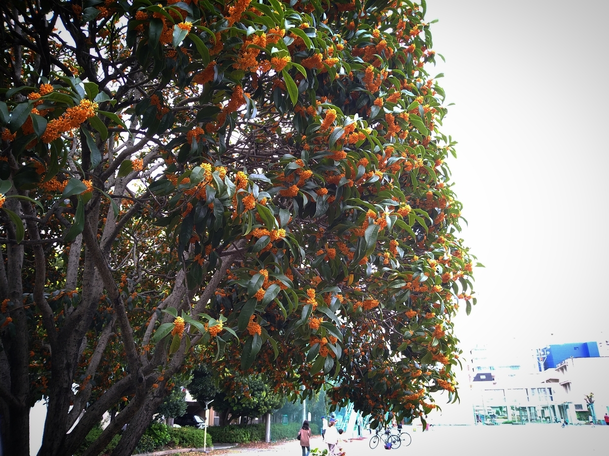 f:id:datetaira:20201018185445j:plain