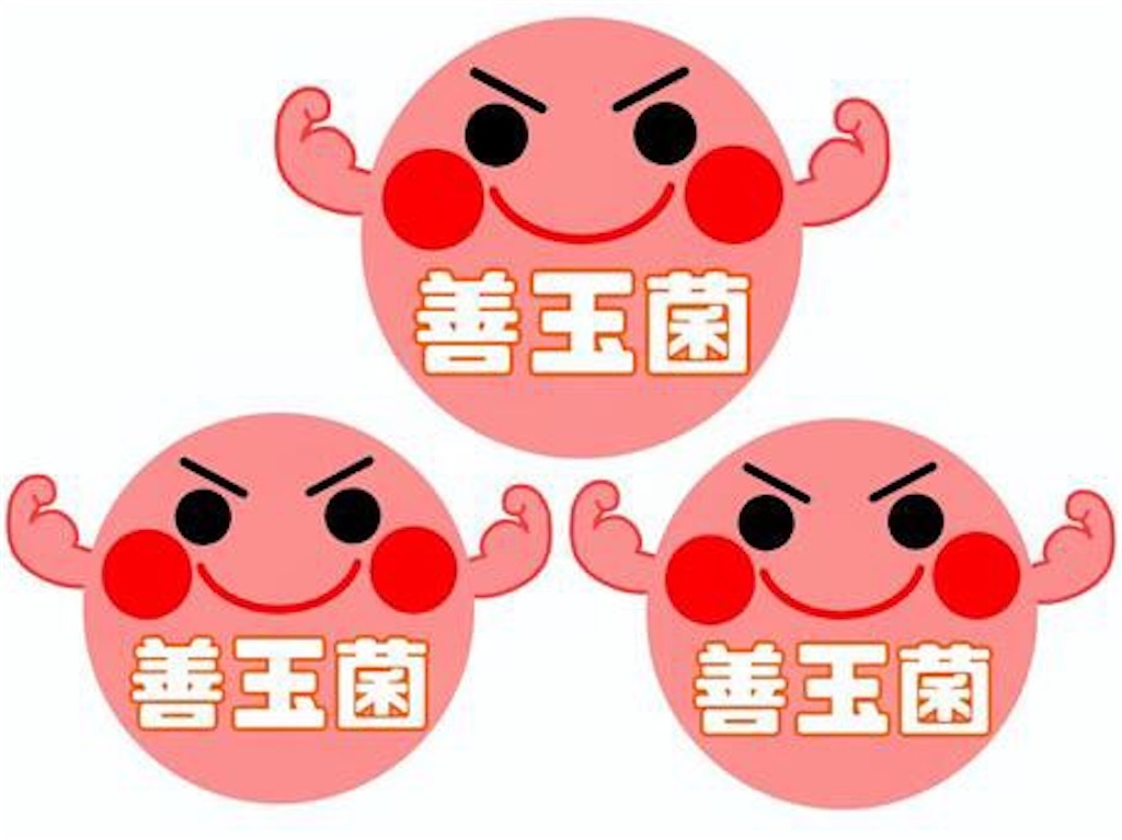 f:id:datsuhadasagi:20210319231513j:image f:id:datsuhadasagi:20210319231513j:image