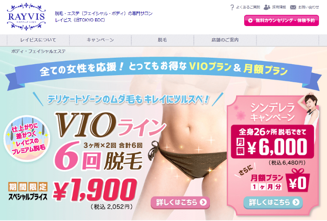 エステティックレイビス