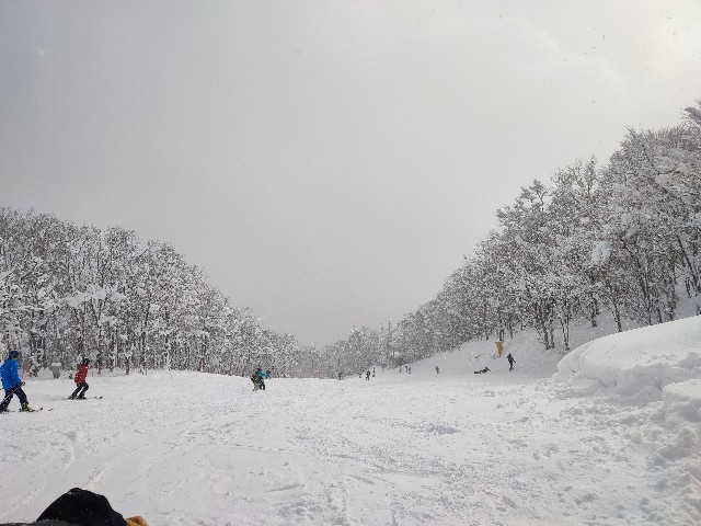 f:id:datsuryokuman:20230129084803j:image