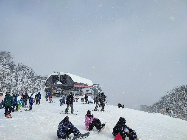 f:id:datsuryokuman:20230129084837j:image