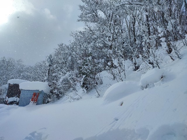 f:id:datsuryokuman:20230129084923j:image