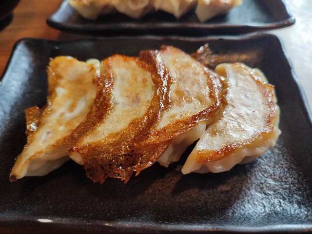 f:id:datsuryokuman:20230204221759j:image