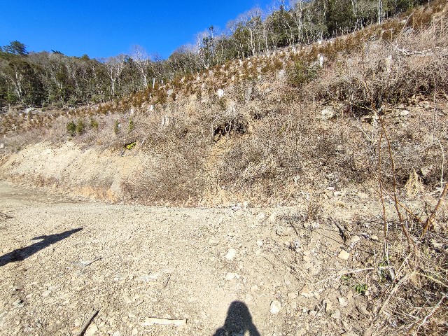 f:id:datsuryokuman:20230206163542j:image f:id:datsuryokuman:20230206163542j:image