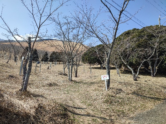 f:id:datsuryokuman:20230213094955j:image