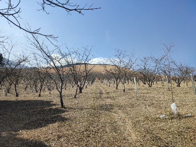 f:id:datsuryokuman:20230213095019j:image