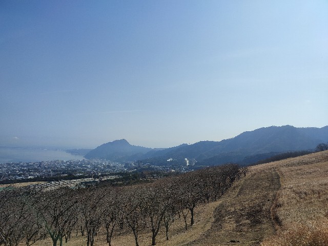 f:id:datsuryokuman:20230213095115j:image