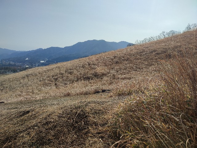 f:id:datsuryokuman:20230213095134j:image