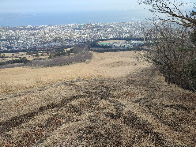 f:id:datsuryokuman:20230213095242j:image