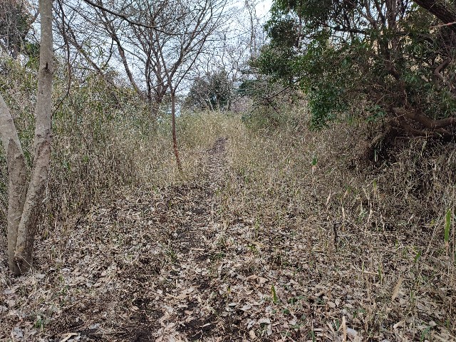 f:id:datsuryokuman:20230213095700j:image