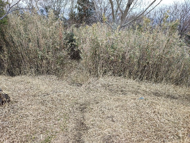 f:id:datsuryokuman:20230213095851j:image