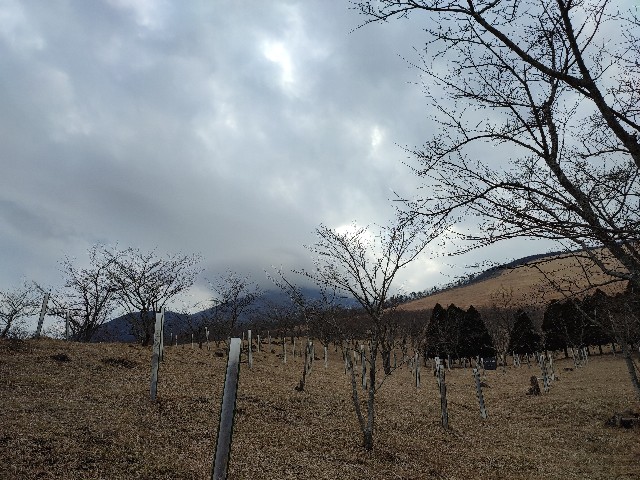 f:id:datsuryokuman:20230213095900j:image