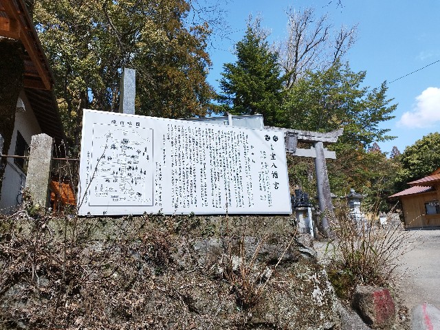 f:id:datsuryokuman:20230306133617j:image