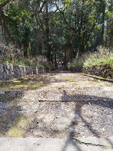 f:id:datsuryokuman:20230306133632j:image