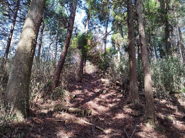 f:id:datsuryokuman:20230306133714j:image