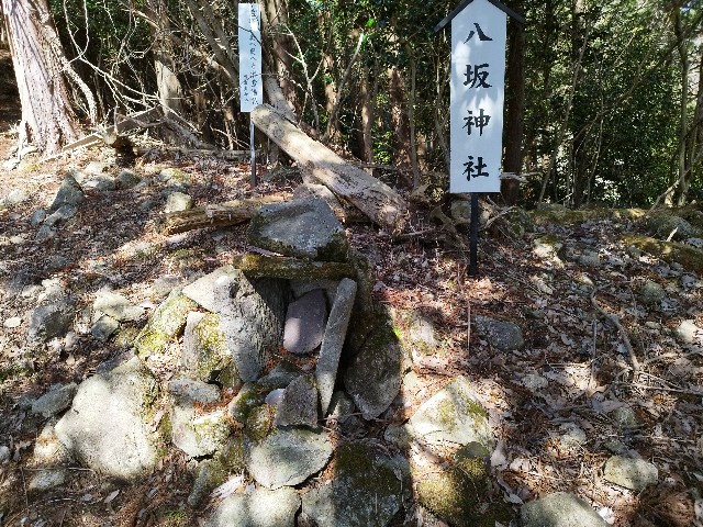 f:id:datsuryokuman:20230306133726j:image