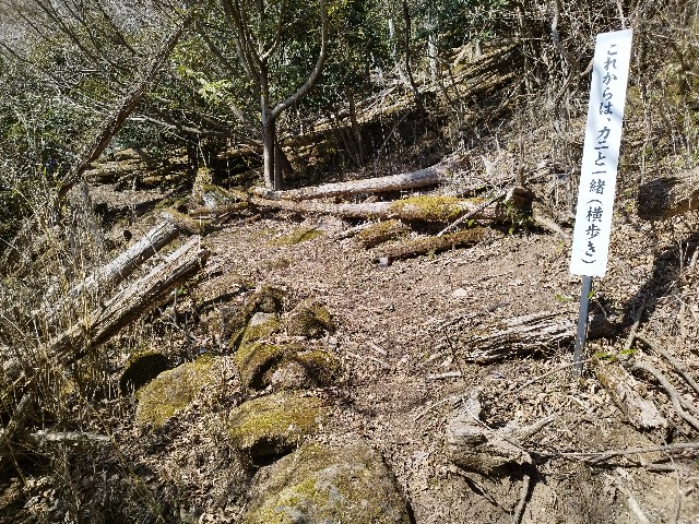 f:id:datsuryokuman:20230306133839j:image
