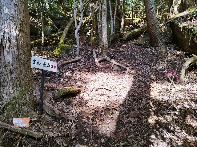 f:id:datsuryokuman:20230306133916j:image