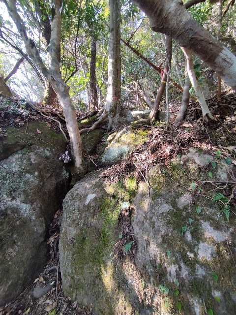 f:id:datsuryokuman:20230306134201j:image