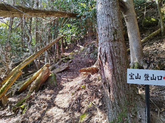 f:id:datsuryokuman:20230306134214j:image