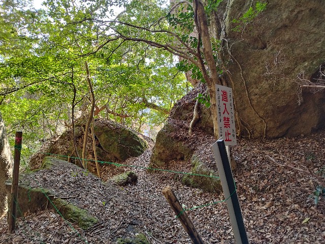 f:id:datsuryokuman:20230306134249j:image