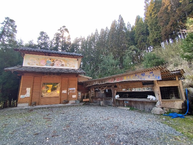 f:id:datsuryokuman:20230306134338j:image
