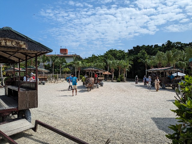 f:id:datsuryokuman:20230527150023j:image