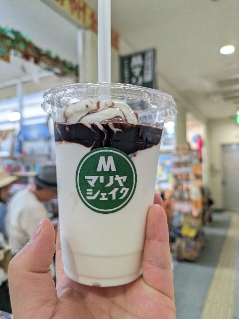 f:id:datsuryokuman:20230527150317j:image