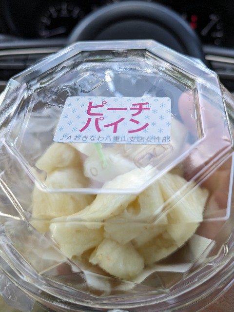 f:id:datsuryokuman:20230527150344j:image