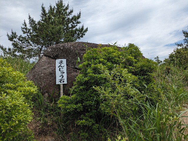 f:id:datsuryokuman:20230604200339j:image