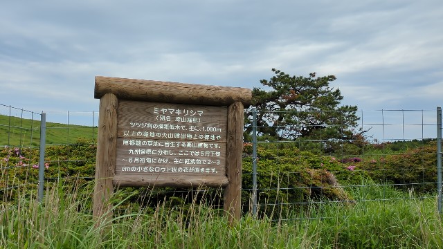 f:id:datsuryokuman:20230604200405j:image