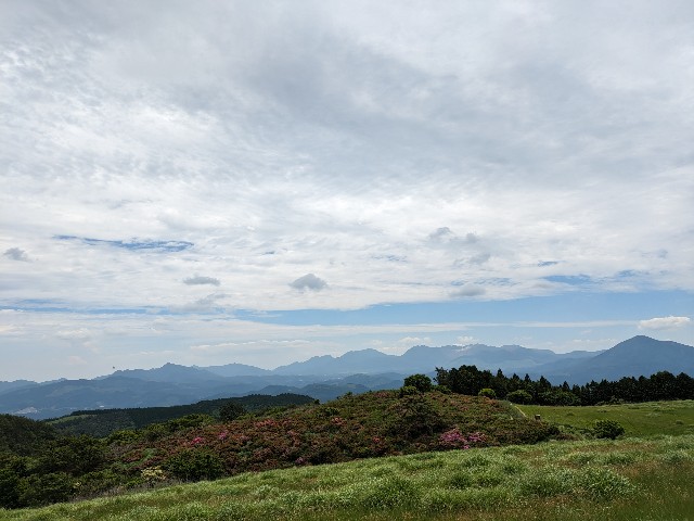 f:id:datsuryokuman:20230604200419j:image