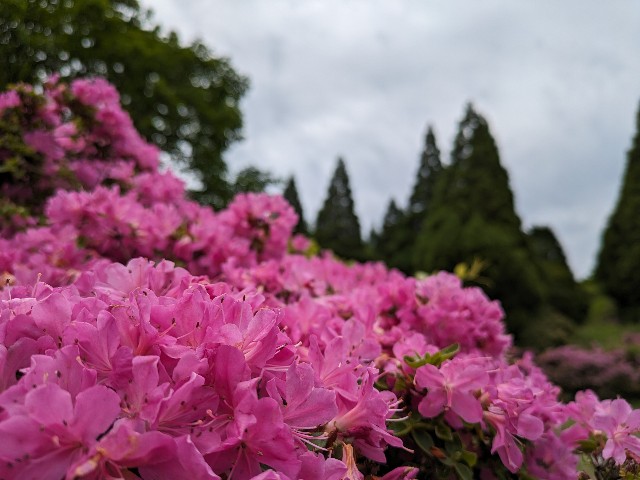 f:id:datsuryokuman:20230604200457j:image