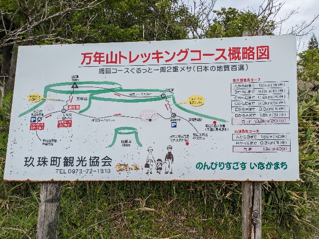 f:id:datsuryokuman:20230604200507j:image