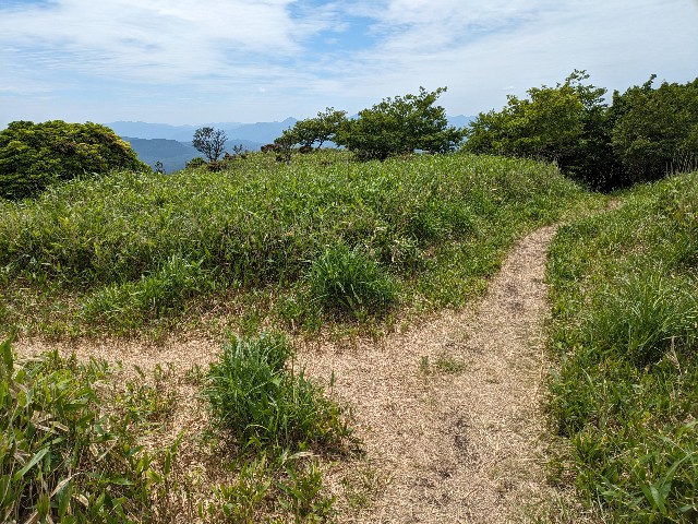 f:id:datsuryokuman:20230604200637j:image