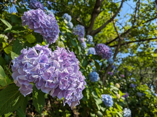 f:id:datsuryokuman:20230619235309j:image