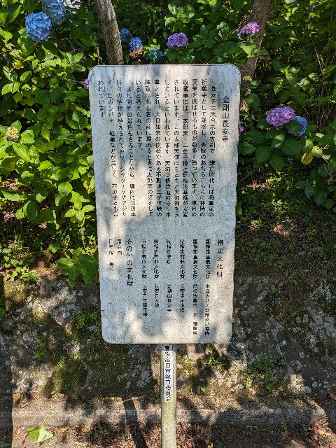 f:id:datsuryokuman:20230619235329j:image