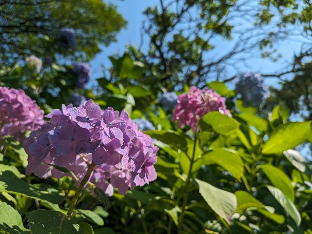 f:id:datsuryokuman:20230619235354j:image