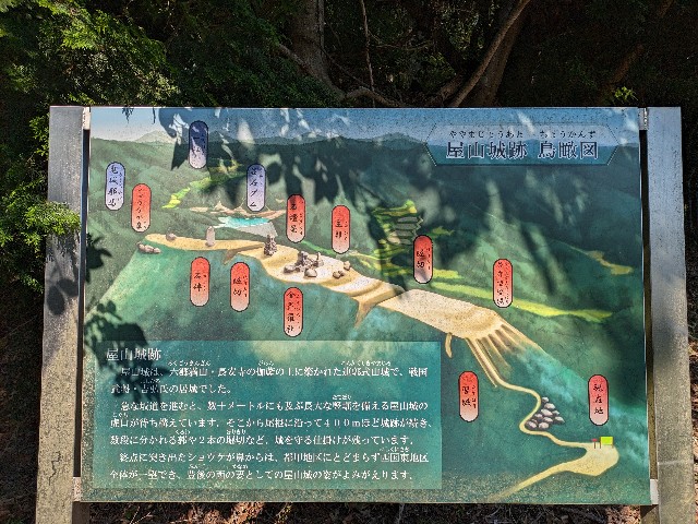 f:id:datsuryokuman:20230619235533j:image