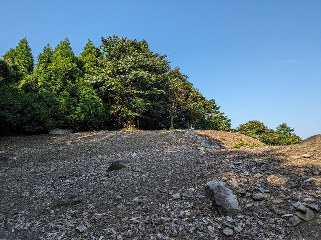 f:id:datsuryokuman:20230619235602j:image