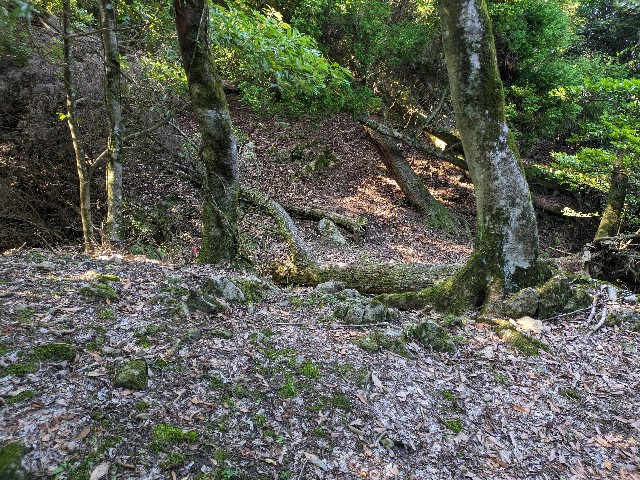 f:id:datsuryokuman:20230619235612j:image