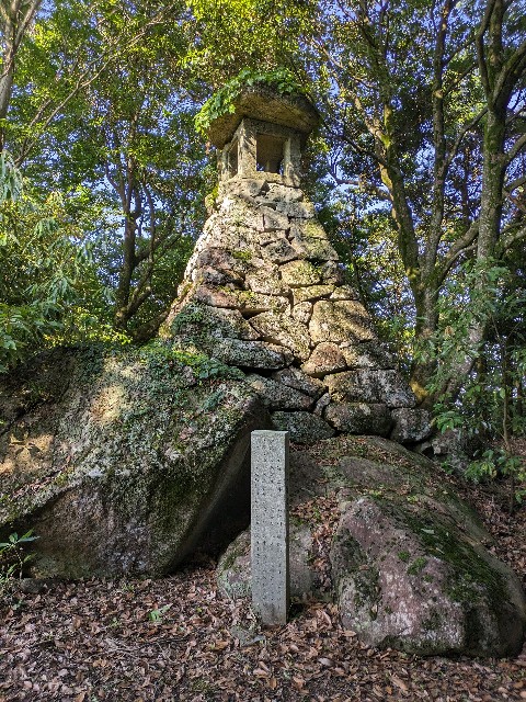 f:id:datsuryokuman:20230619235640j:image